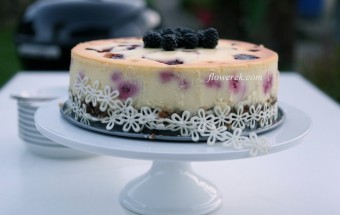 Sanfter Himbeer-Käsekuchen
