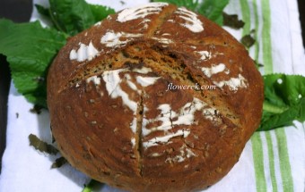 Sauerteigbrot auf Meerrettichblättern