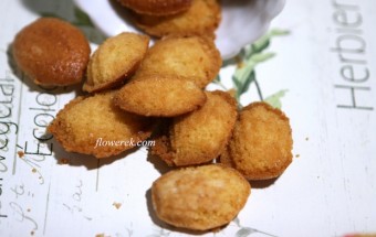 Madeleines