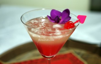 Menü zum Valentinstag Teil 1 – Shirley Temple