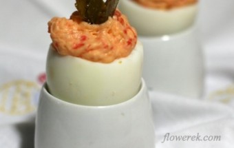 Eier gefüllt mit Lachs