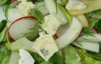 Fenchelsalat mit Apfel und Blauschimmelkäse