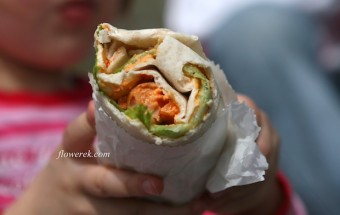 Picknick Tortilla Wraps und Loreley
