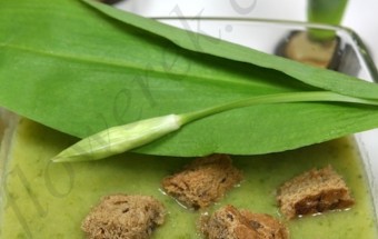 Bärlauchsuppe