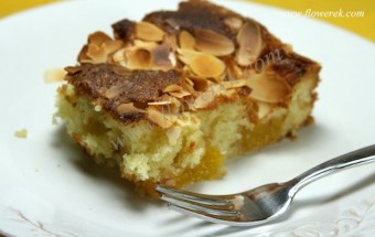 Bester Aprikosenkuchen