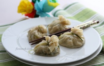 Vegetarische Wan-Tans