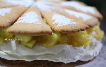 Weihnachtliche Apfeltorte
