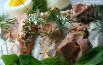 Lachs mit Fenchelsamen und Wachteleiern