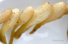 Frühlingszwiebel-Spieße