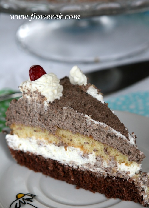 Sahne-Schokoladen-Torte Sahne-Schokoladen-Torte