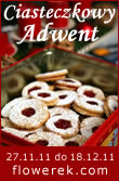 Banner – Aktion Plätzchen-Advent