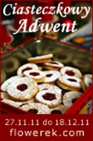 Aktion Plätzchen-Advent