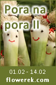 Aktion Pora na Pora II