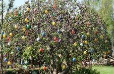 Baum mit Eiern