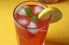 Lemoniada żurawinowa